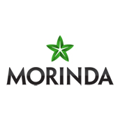 morinda